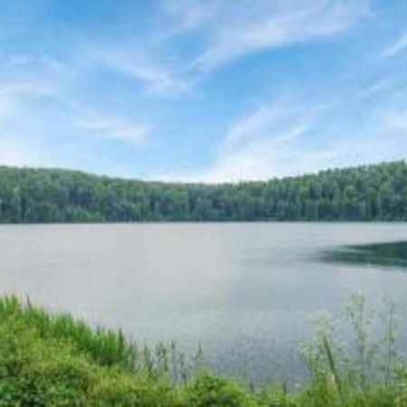 Cosy Holiday Home In Strotzb Sch With Sauna Strotzbüsch 외부 사진