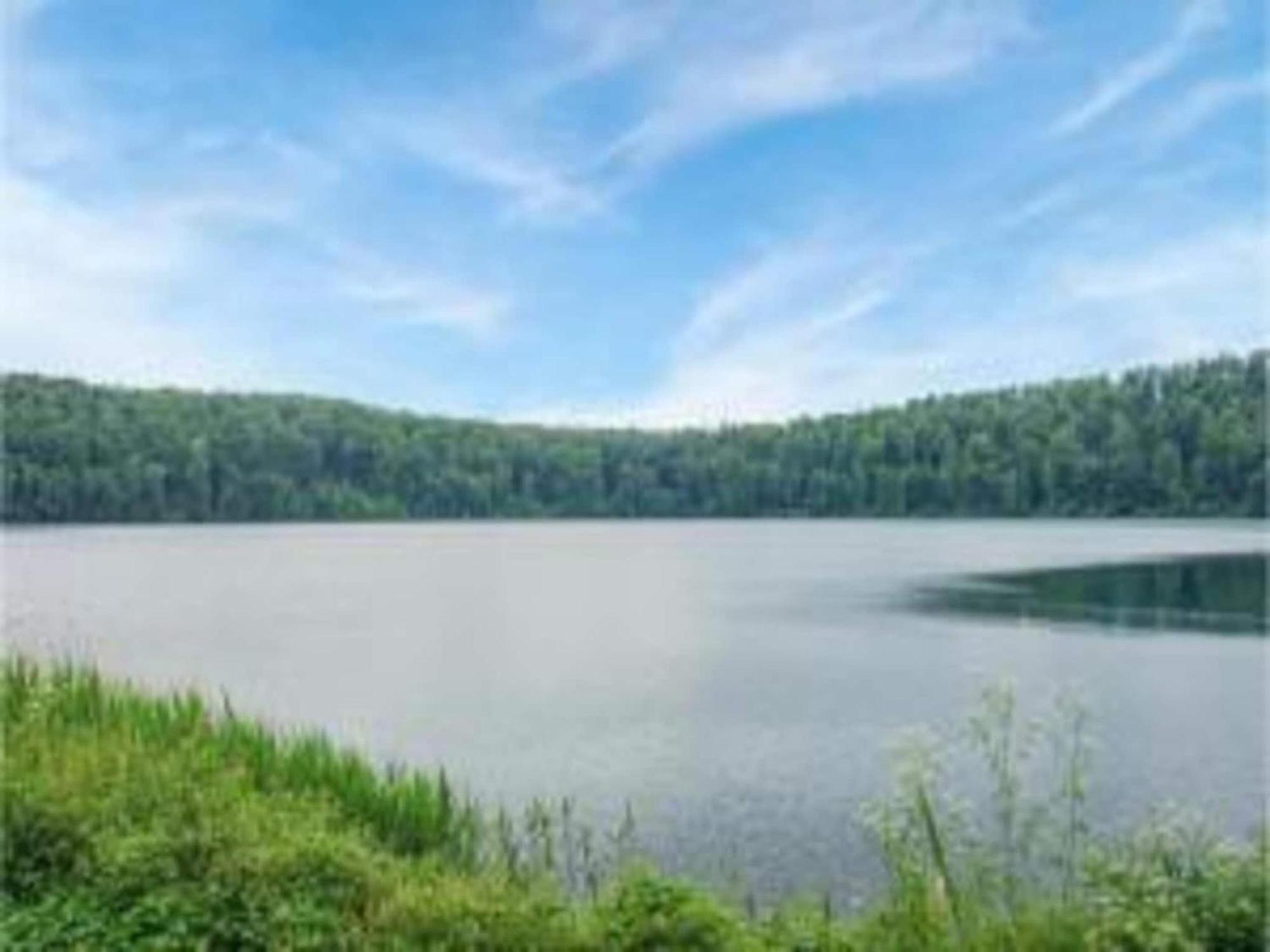 Cosy Holiday Home In Strotzb Sch With Sauna Strotzbüsch 외부 사진