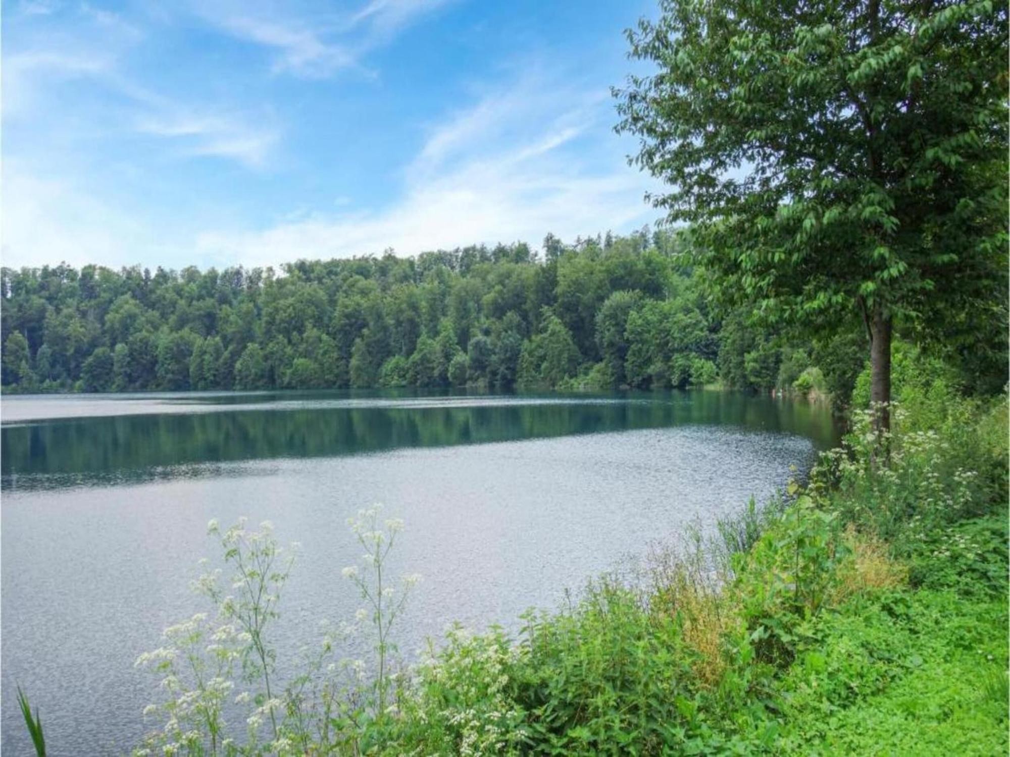 Cosy Holiday Home In Strotzb Sch With Sauna Strotzbüsch 외부 사진